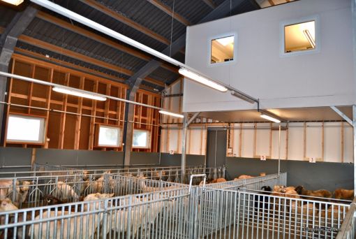 Sauefj&oslash;s nybygg